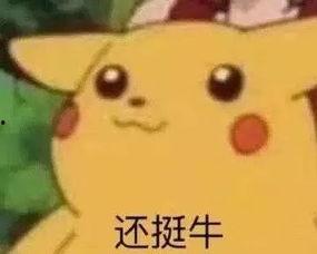 娱乐吃瓜酱最心酸的话,心酸独白，揭秘娱乐圈背后的辛酸泪