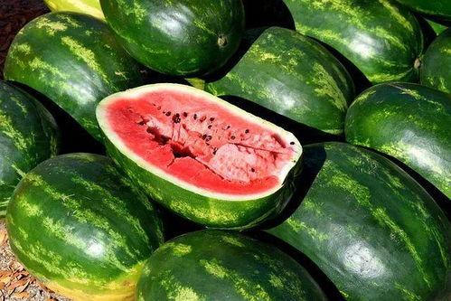 吃瓜娱乐素材视频,揭秘热门娱乐素材视频背后的趣味故事