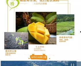 伙伴娱乐吃瓜,揭秘娱乐圈的“吃瓜”风云
